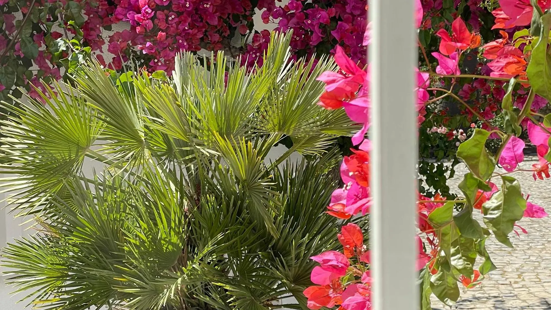 Vila Marine Albufeira